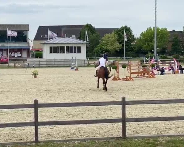Video von Carcasonne 3