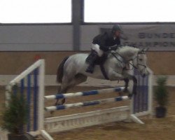 jumper Quindulina G (Hanoverian, 2009, from Quintender 2)