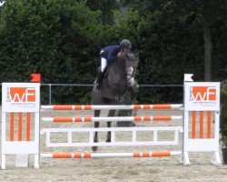 jumper Cyndy 2 (Holsteiner, 2009, from Catoki)