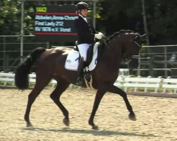 dressage horse First Lady 212 (Württemberger, 2006, from Florencio I)