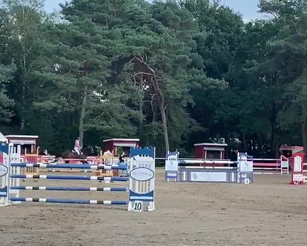 Video von Quickstead