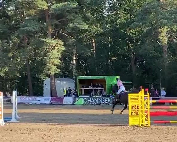 Video von Quickstead