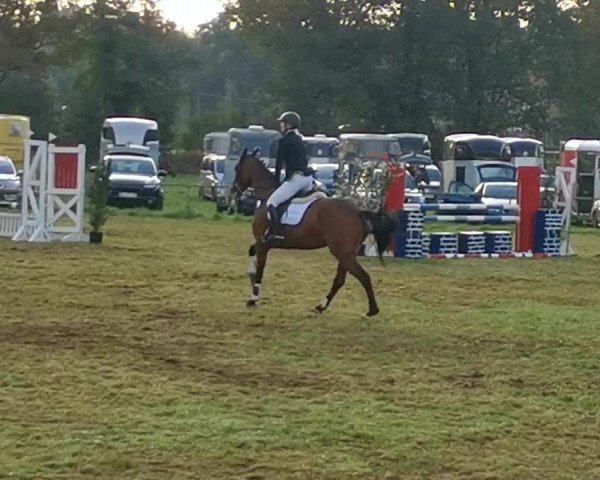 Reitturnier Kamp Lintfort 2020