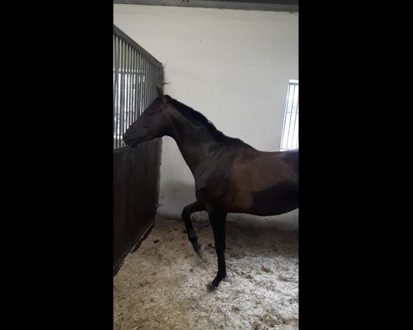 Video of Radar Lock xx