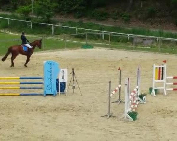 Video of Fleur