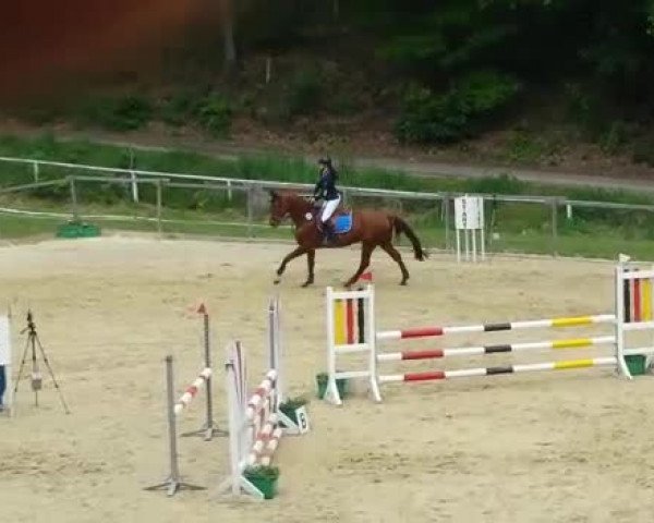 Video of Fleur