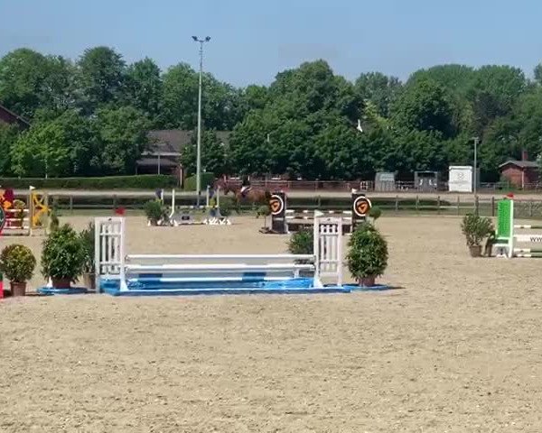 Reitturnier Elmshorn 2020