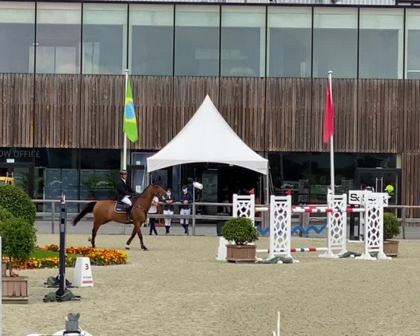 FEI Reitturnier Opglabbeek (BEL) 2020