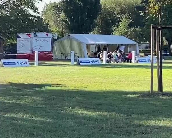 Video of Liz 43
