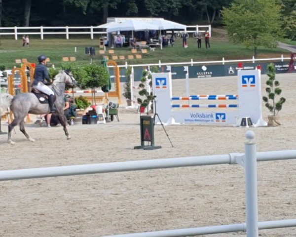 Video von Lady Levis hgl
