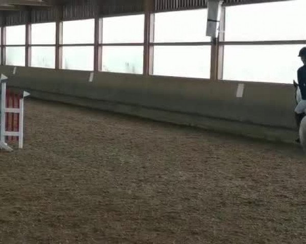 Reitturnier Ehingen 2020