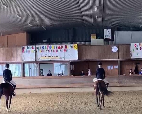 Video di Desert Diamond
