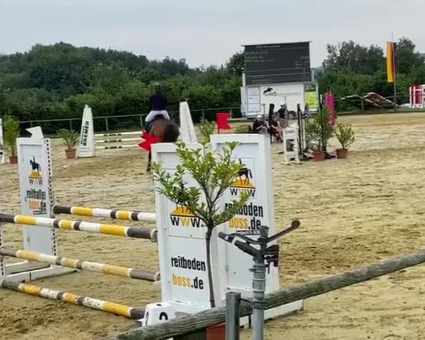 Reitturnier Schwaney 2020