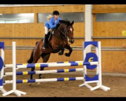 broodmare Replay Blue Jean (Hanoverian, 2002, from Rubin Royal OLD)