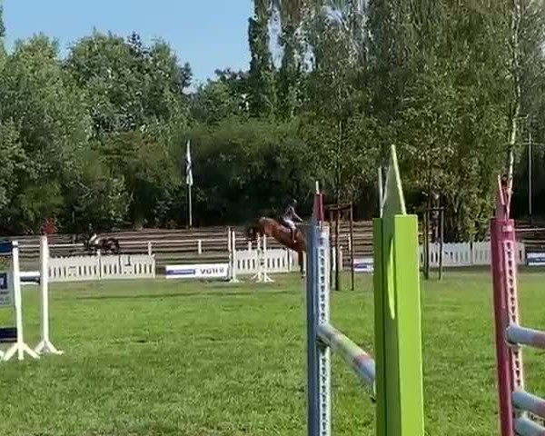 Video von Nanu Nana E