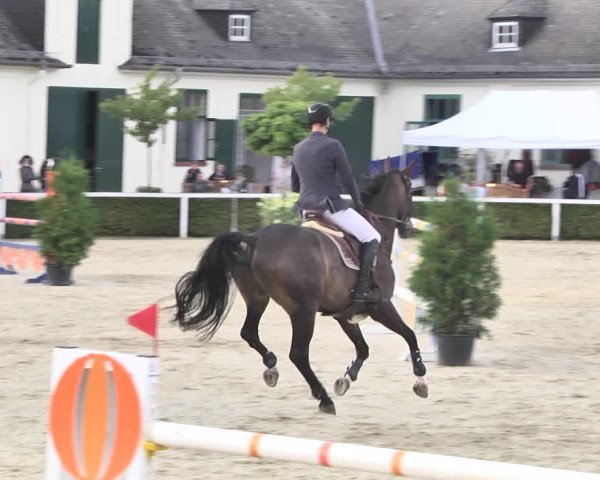 Video von cornando-4
