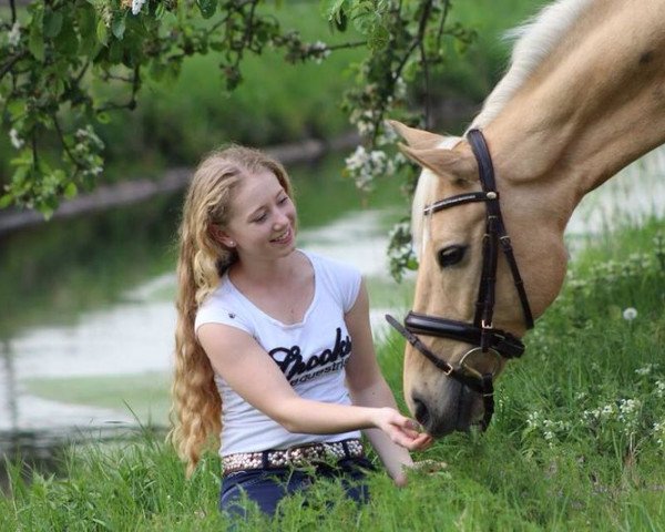 dressage horse Naughty by Nature 2 (German Riding Pony, 2006, from Nacromancer inthe dark)