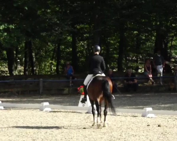 Video of Dubai Diamond