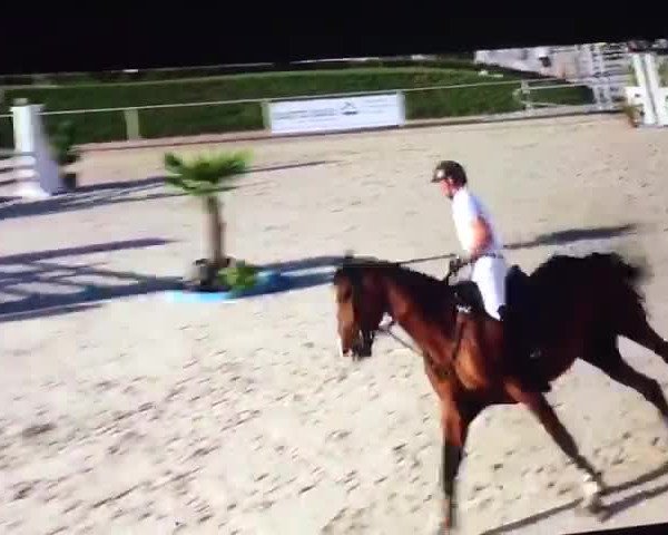 Video of Crunchino