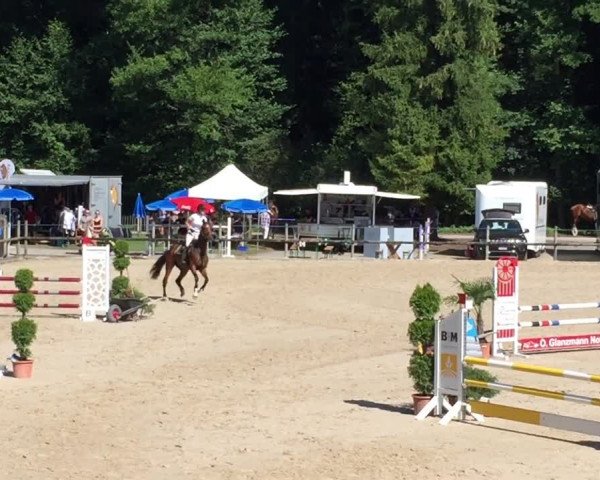 Reitturnier Sursee 2020