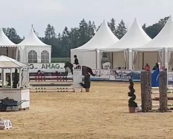 Reitturnier Ranshofen 2020