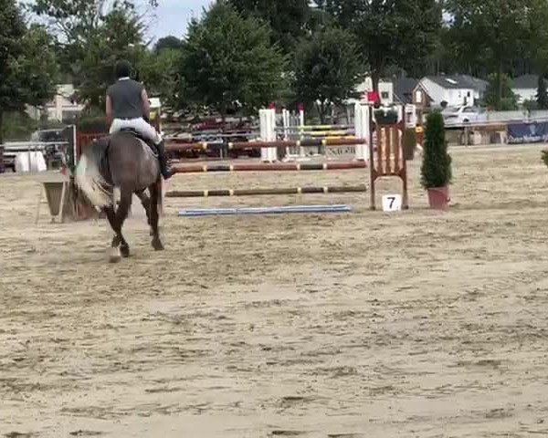Video of Levkoi 2