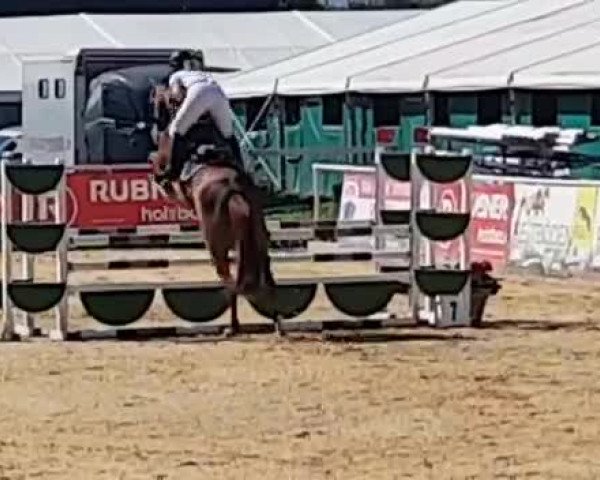 Reitturnier Ranshofen 2020
