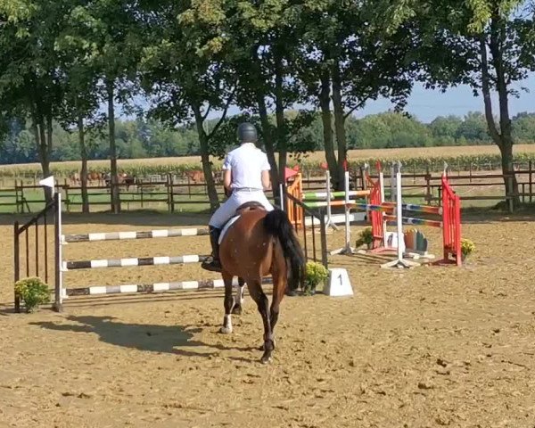 Reitturnier Korschenbroich 2020