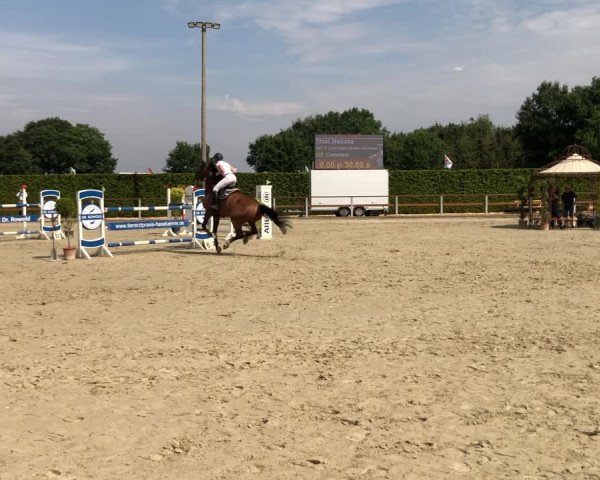 Video of Conmissi