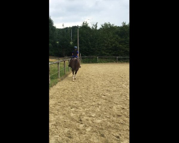 Video of Donovan 143