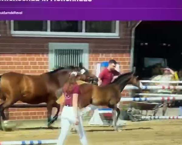 Video of Hirtenglück