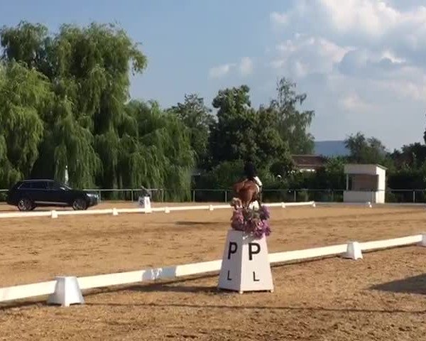 Reitturnier Göppingen 2018