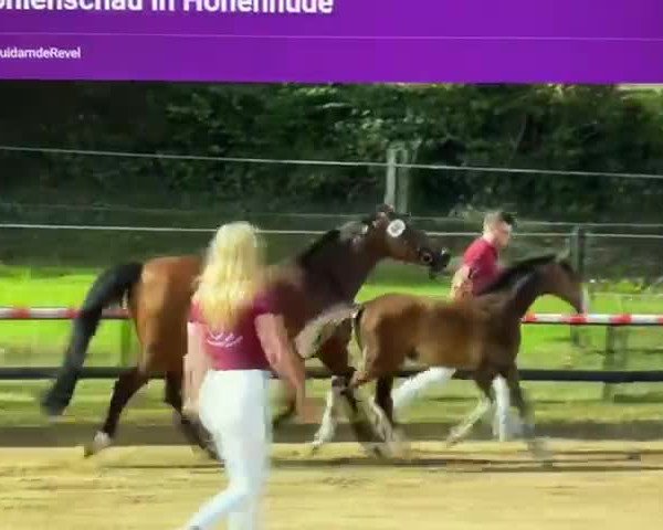 Video of Hirtenglück