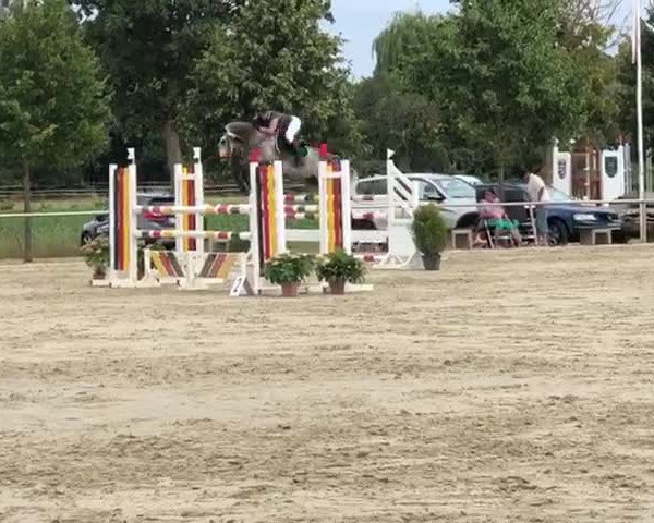 Video von Levkoi 2