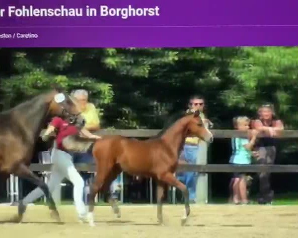 Vídeo de Constantine