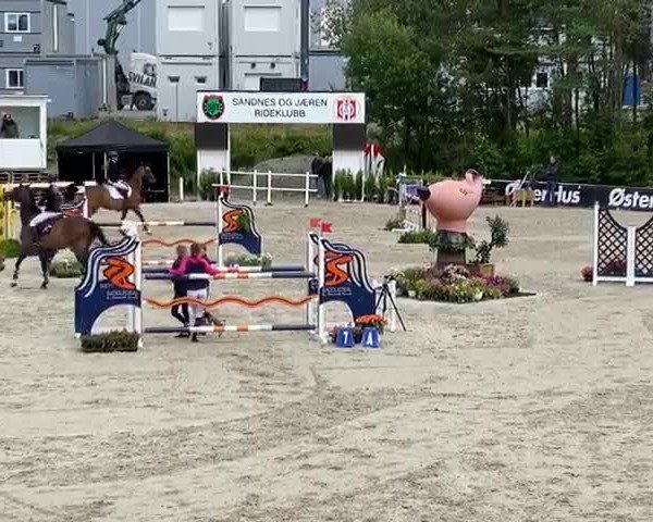 Video of Cash Verte