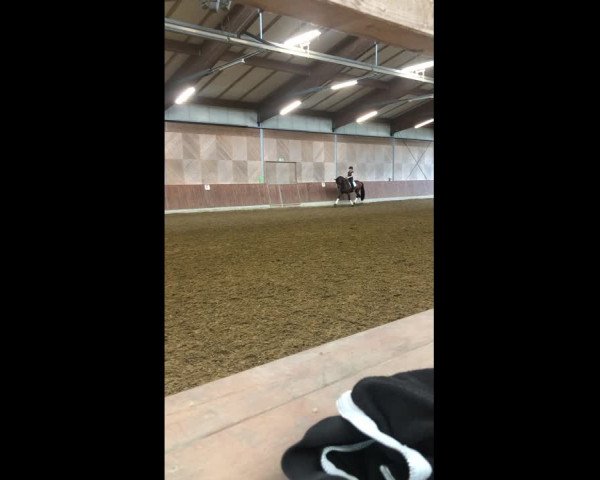 Video von Silvanos L