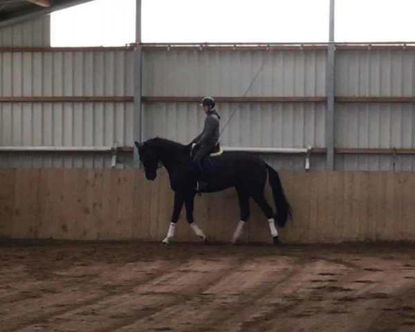 Video of Broker Number One