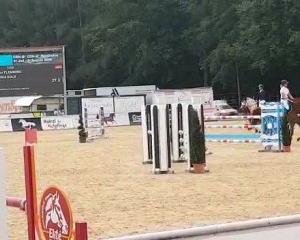 Reitturnier Ranshofen 2020