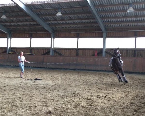 Video von Akira