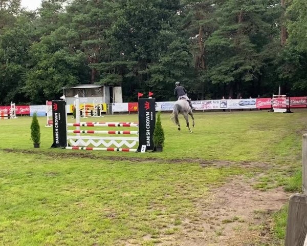 Video koně Cincinnati