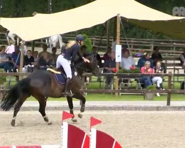 Video von Quickstead