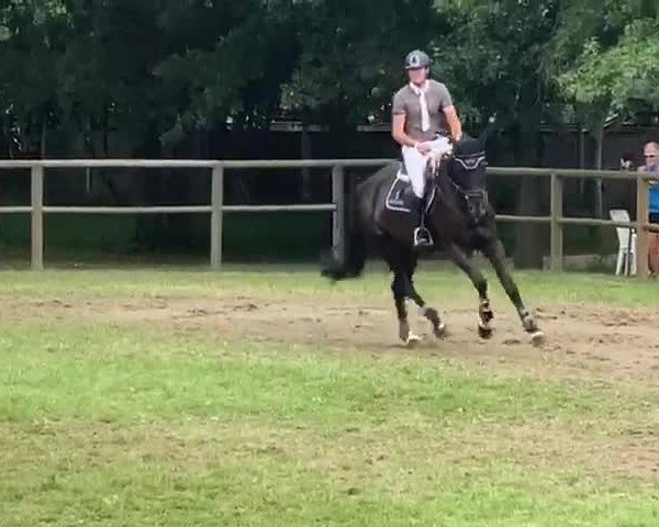 Video von Ghia Pé