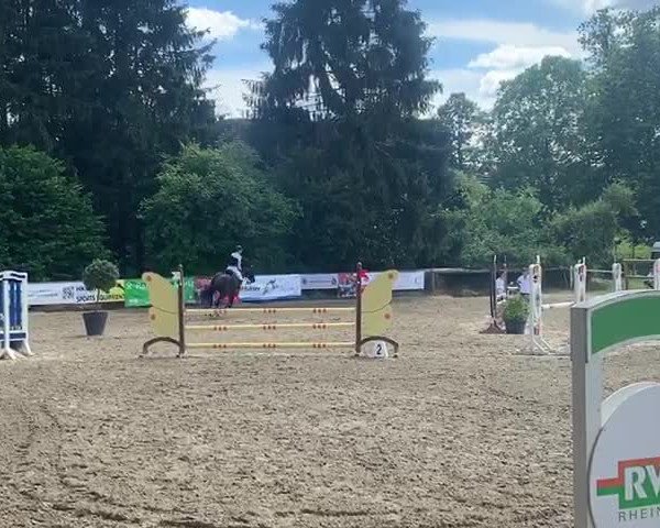 Reitturnier Wuppertal-Steinberg 2020