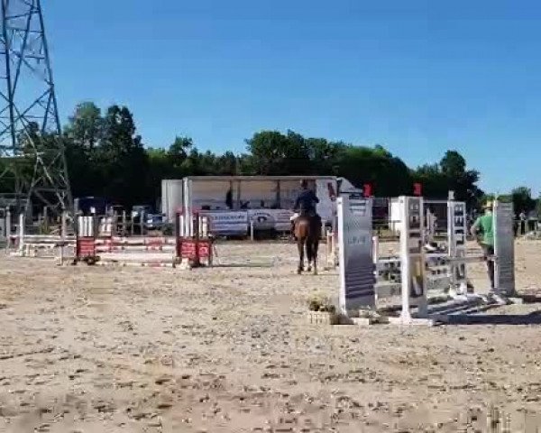Video von Quasilano YG