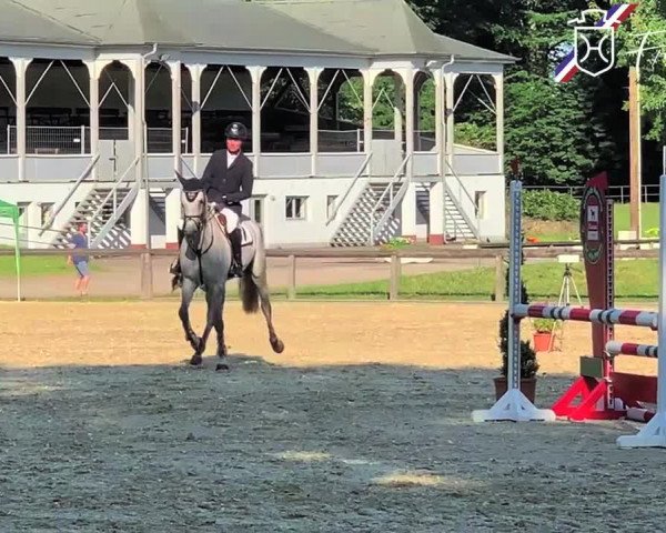 Video of Grey Pia