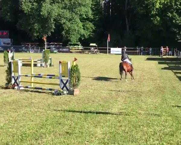 Video von Landstreicher's Grandessa