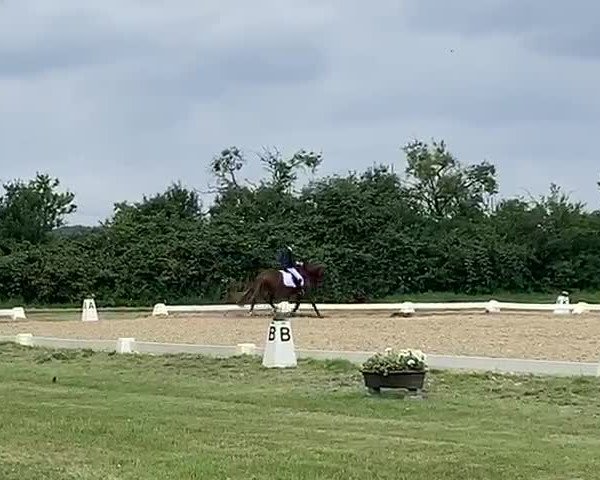 Video of Diego Diaz AT