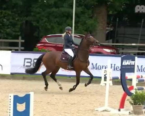 Video von Cessedy Cayenne