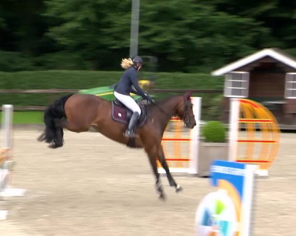 Video von Cessedy Cayenne